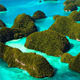 tours for andaman