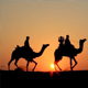 tours for Rajasthan